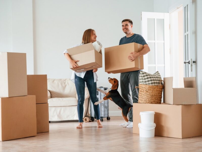 Helping Your Pet Adjust to the New Environment