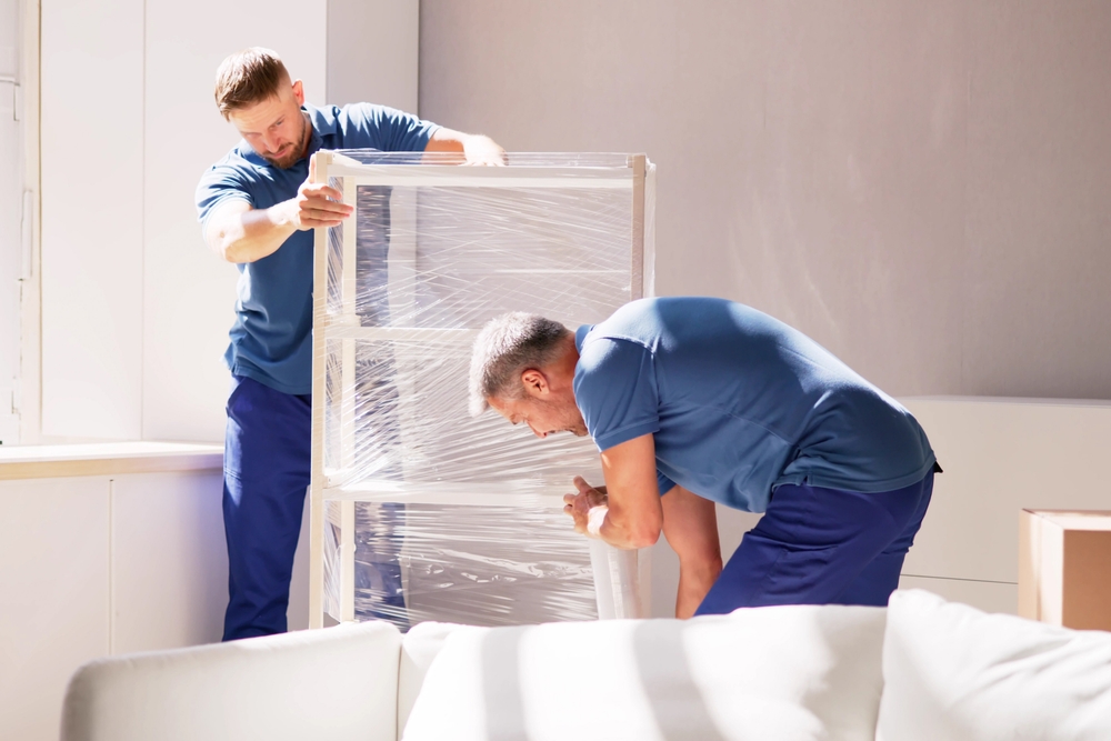 Why You Need a Removal Company