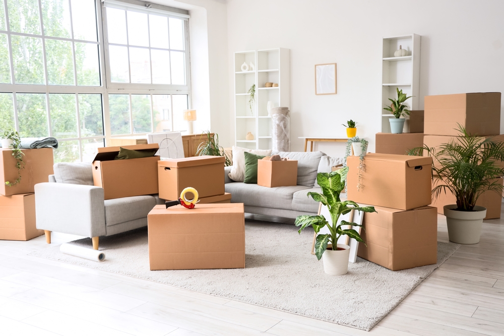 8+ Weeks Before Moving Day: Getting Organised